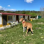 度假居 Casinha De Ferias No Campo - Quintinha Dos Cavalos - Arruda Dos Vinhos