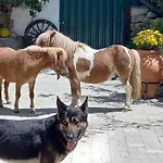 度假居 Casinha De Ferias No Campo - Quintinha Dos Cavalos - Arruda Dos Vinhos *