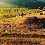 Nyaraló Casinha De Ferias No Campo - Quintinha Dos Cavalos - Arruda Dos Vinhos