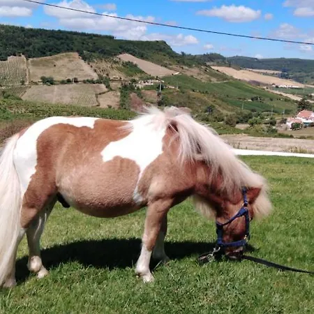 Feriehus Casinha De Ferias No Campo - Quintinha Dos Cavalos - Arruda Dos Vinhos *