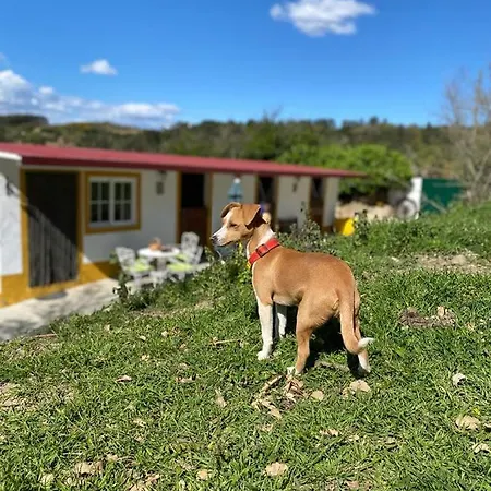 Feriehus Casinha De Ferias No Campo - Quintinha Dos Cavalos - Arruda Dos Vinhos