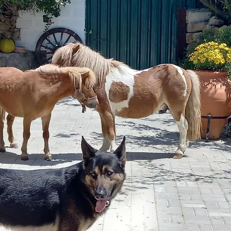 Feriehus Casinha De Ferias No Campo - Quintinha Dos Cavalos - Arruda Dos Vinhos *
