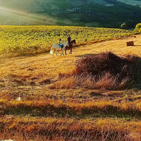 Feriehus Casinha De Ferias No Campo - Quintinha Dos Cavalos - Arruda Dos Vinhos