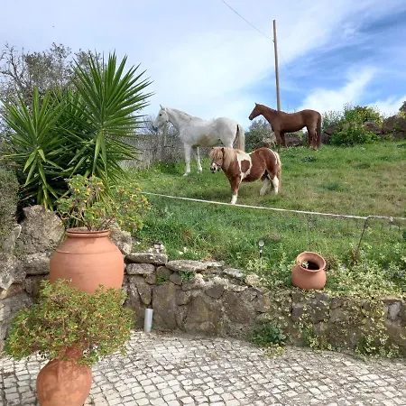Feriehus Casinha De Ferias No Campo - Quintinha Dos Cavalos - Arruda Dos Vinhos