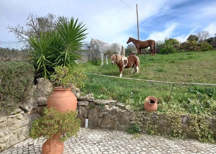 Holiday home Casinha De Ferias No Campo - Quintinha Dos Cavalos - Arruda Dos Vinhos